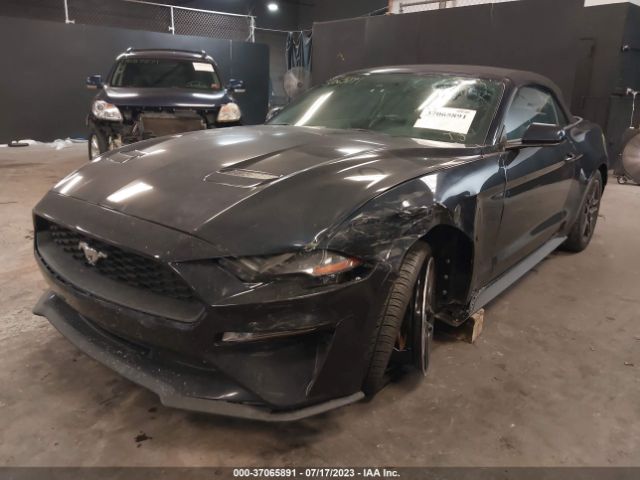 Photo 1 VIN: 1FATP8UH1M5101487 - FORD MUSTANG 