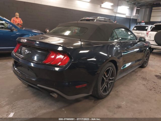 Photo 3 VIN: 1FATP8UH1M5101487 - FORD MUSTANG 