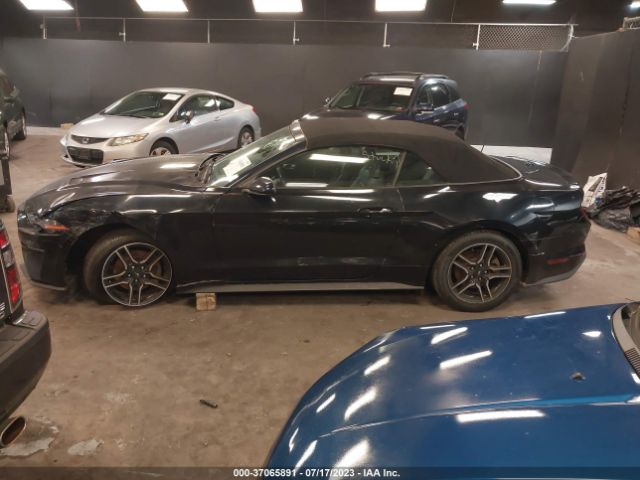 Photo 5 VIN: 1FATP8UH1M5101487 - FORD MUSTANG 