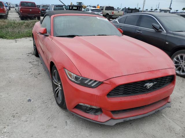 Photo 4 VIN: 1FATP8UH2G5222131 - FORD MUSTANG 