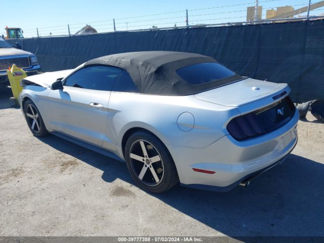 Photo 2 VIN: 1FATP8UH2H5204147 - FORD MUSTANG 