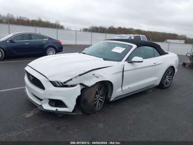 Photo 1 VIN: 1FATP8UH2H5252764 - FORD MUSTANG 