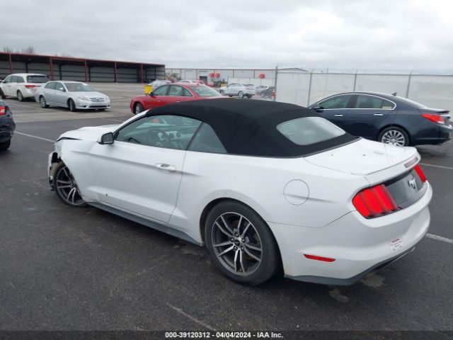 Photo 2 VIN: 1FATP8UH2H5252764 - FORD MUSTANG 