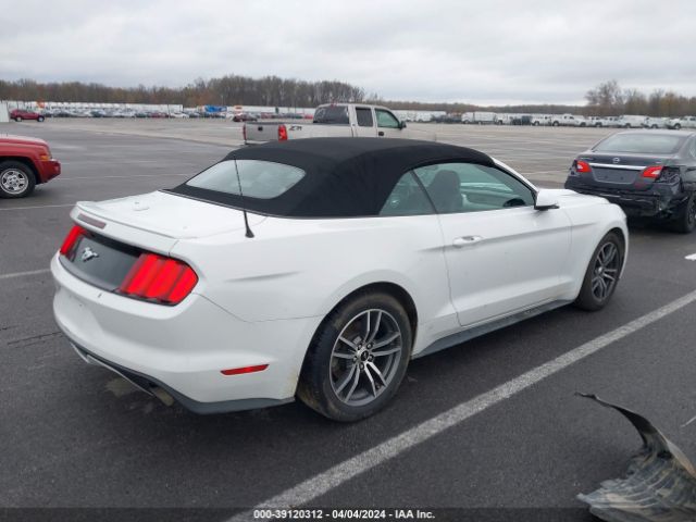 Photo 3 VIN: 1FATP8UH2H5252764 - FORD MUSTANG 