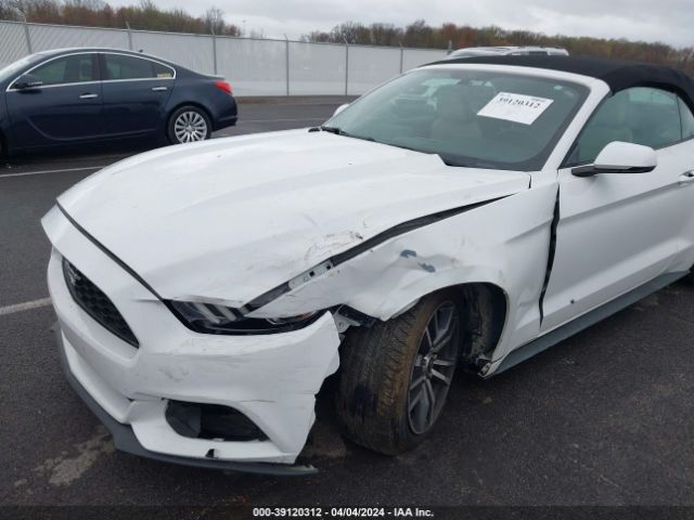 Photo 5 VIN: 1FATP8UH2H5252764 - FORD MUSTANG 