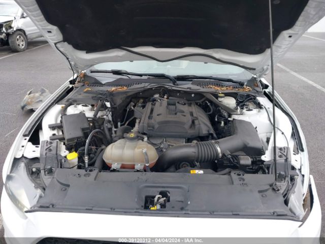 Photo 9 VIN: 1FATP8UH2H5252764 - FORD MUSTANG 