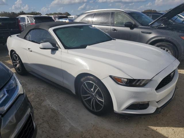 Photo 3 VIN: 1FATP8UH2H5334252 - FORD MUSTANG 