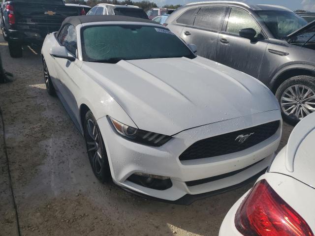 Photo 4 VIN: 1FATP8UH2H5334252 - FORD MUSTANG 