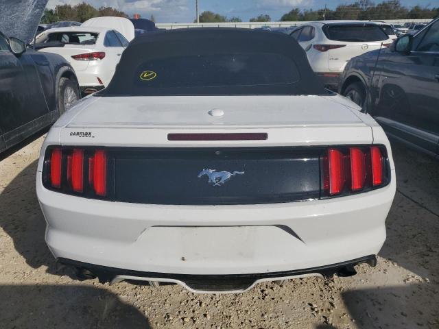 Photo 5 VIN: 1FATP8UH2H5334252 - FORD MUSTANG 