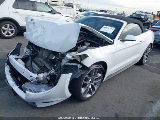 Photo 1 VIN: 1FATP8UH2H5344702 - FORD MUSTANG 