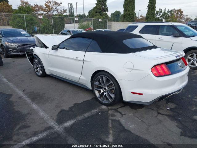 Photo 2 VIN: 1FATP8UH2H5344702 - FORD MUSTANG 