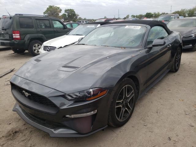 Photo 1 VIN: 1FATP8UH2K5158567 - FORD MUSTANG 