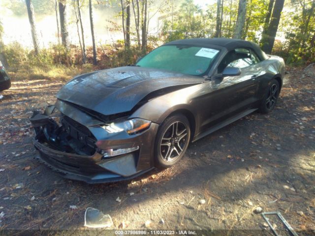 Photo 1 VIN: 1FATP8UH2K5161565 - FORD MUSTANG 