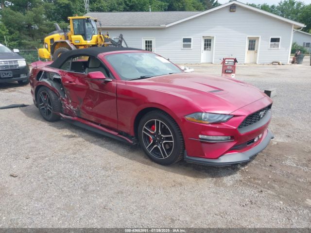Photo 0 VIN: 1FATP8UH2K5204642 - FORD MUSTANG 