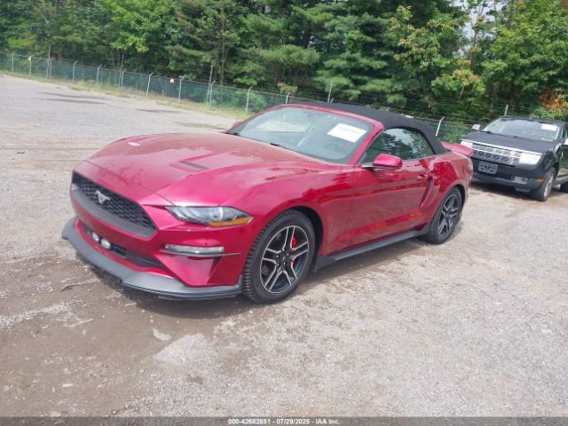 Photo 1 VIN: 1FATP8UH2K5204642 - FORD MUSTANG 