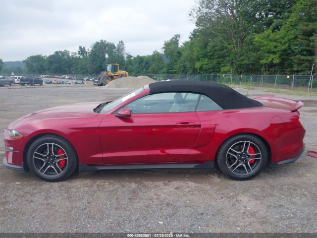 Photo 14 VIN: 1FATP8UH2K5204642 - FORD MUSTANG 
