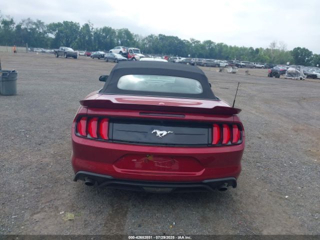 Photo 16 VIN: 1FATP8UH2K5204642 - FORD MUSTANG 