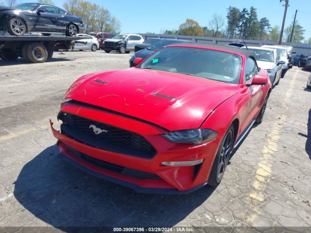 Photo 1 VIN: 1FATP8UH2L5125571 - FORD MUSTANG 