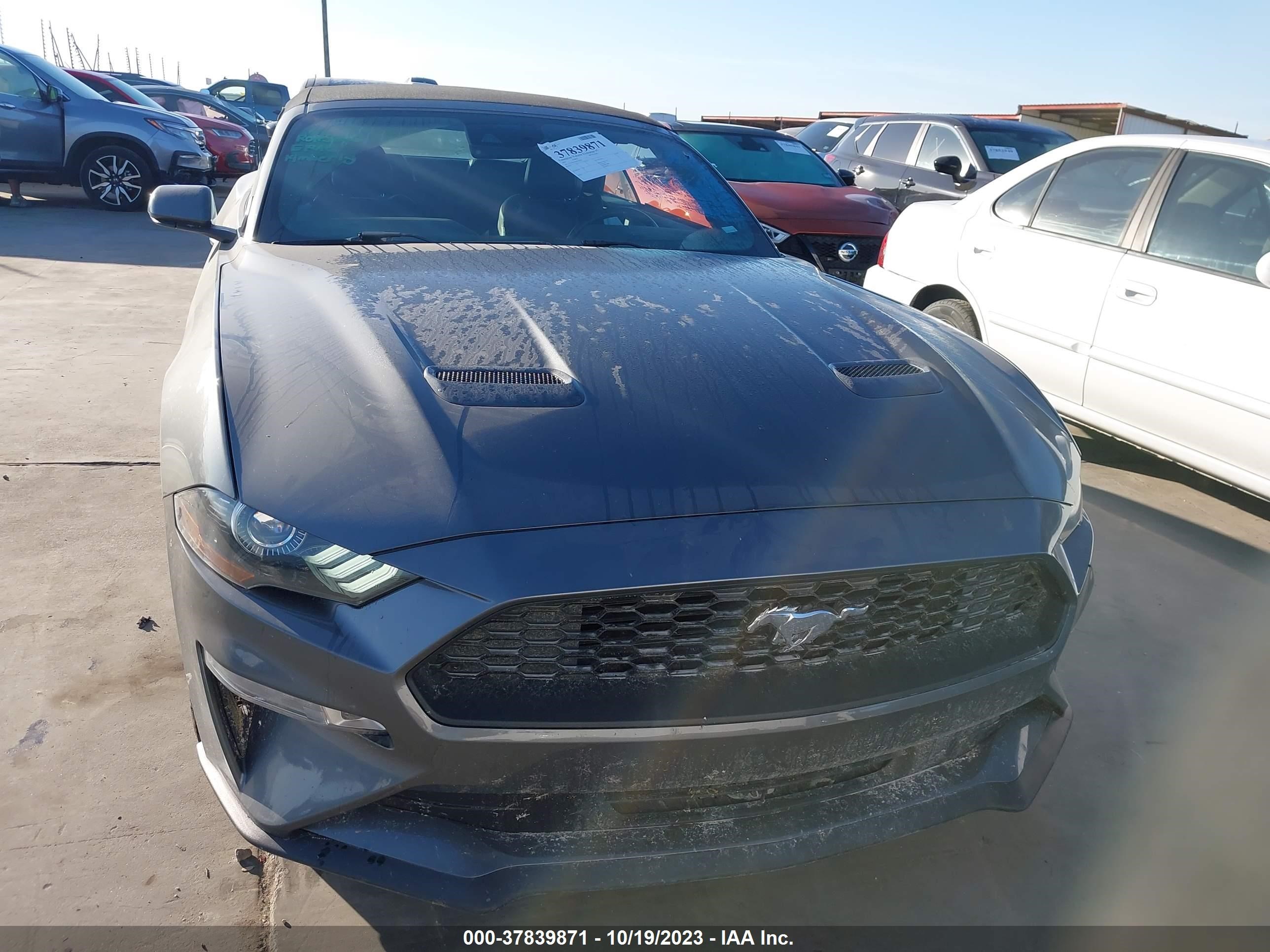 Photo 11 VIN: 1FATP8UH2M5105936 - FORD MUSTANG 