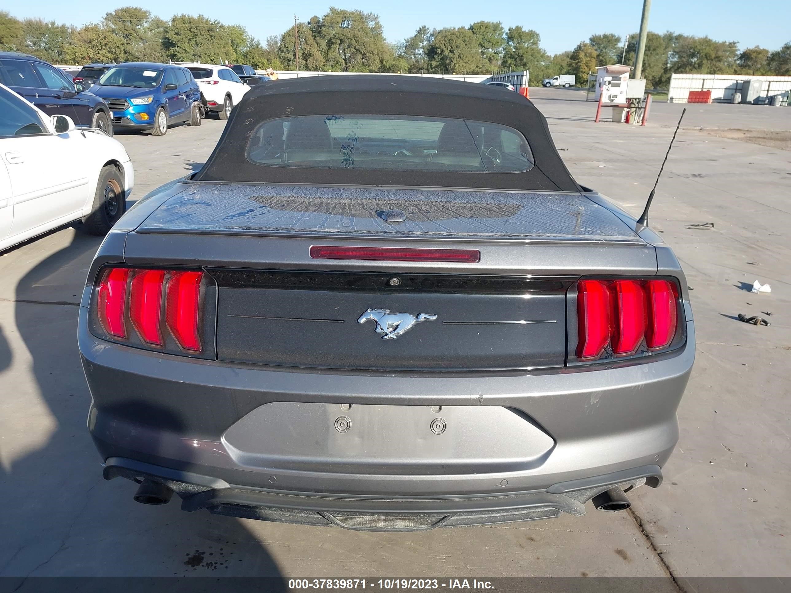 Photo 15 VIN: 1FATP8UH2M5105936 - FORD MUSTANG 