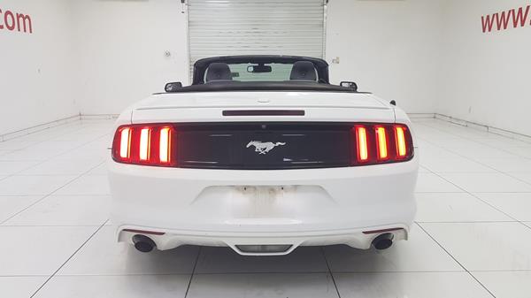 Photo 12 VIN: 1FATP8UH3G5221943 - FORD MUSTANG 