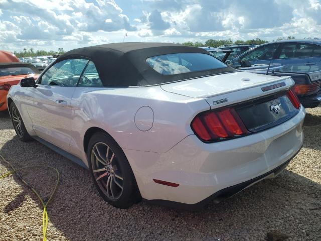 Photo 2 VIN: 1FATP8UH3G5281219 - FORD MUSTANG 