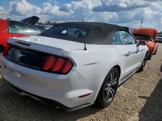 Photo 3 VIN: 1FATP8UH3G5281219 - FORD MUSTANG 