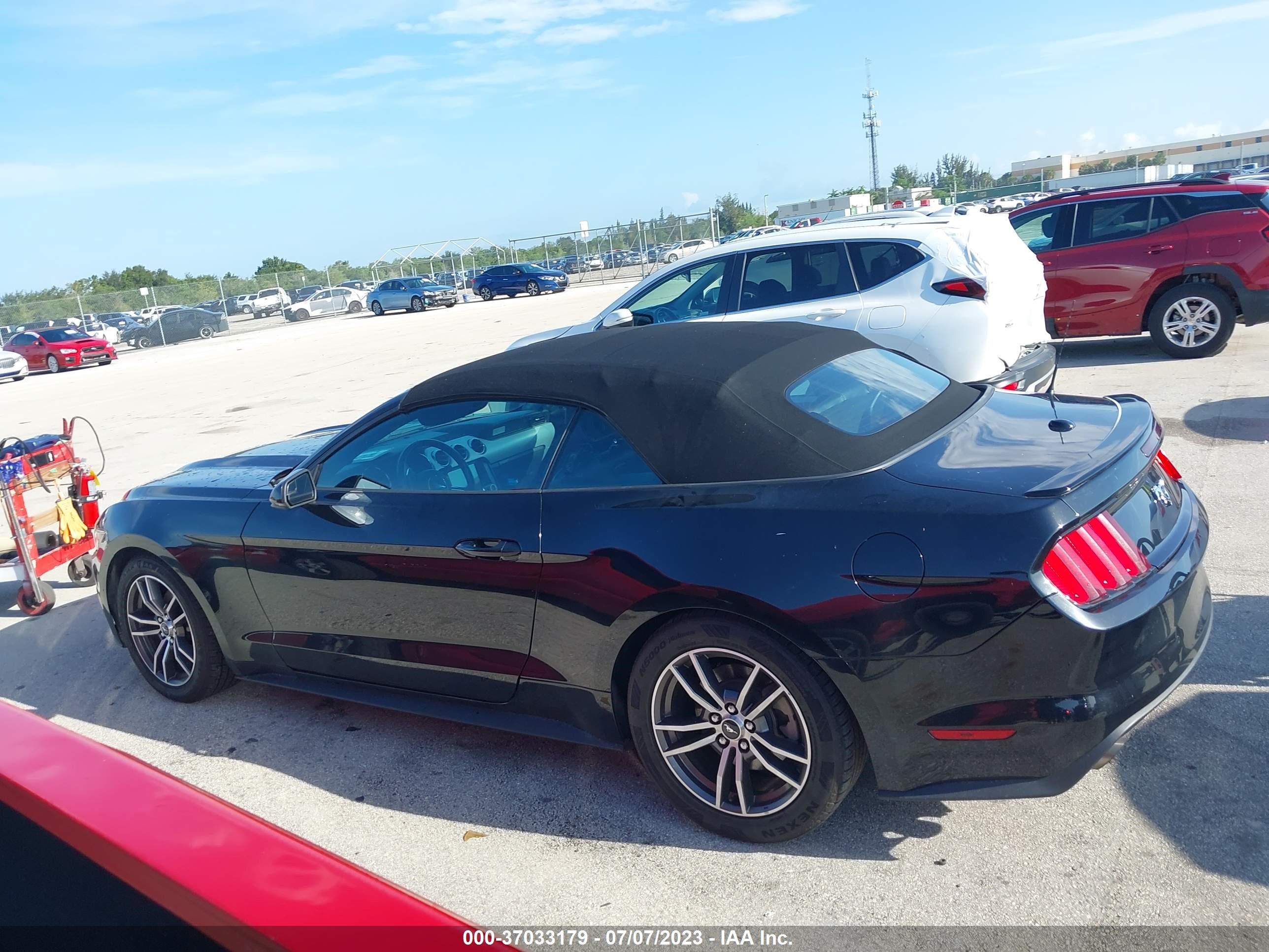 Photo 13 VIN: 1FATP8UH3H5295378 - FORD MUSTANG 