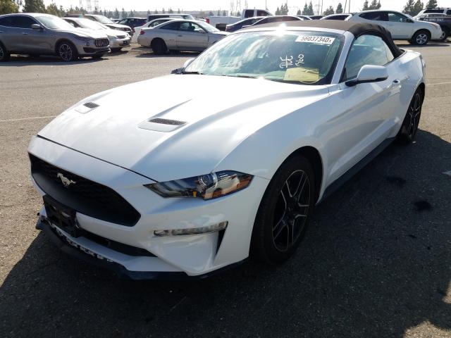 Photo 1 VIN: 1FATP8UH3K5138506 - FORD MUSTANG 