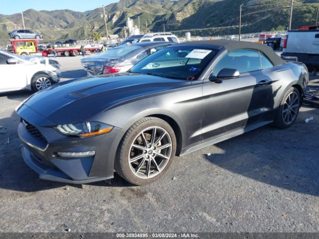 Photo 1 VIN: 1FATP8UH3K5158996 - FORD MUSTANG 