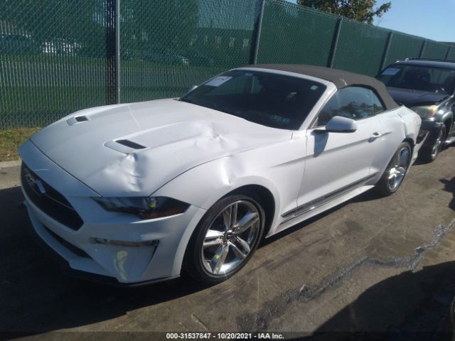 Photo 1 VIN: 1FATP8UH3L5149197 - FORD MUSTANG 