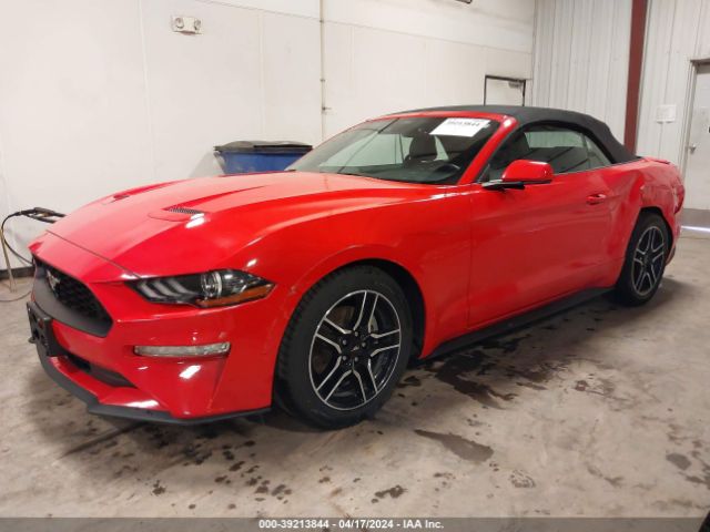 Photo 1 VIN: 1FATP8UH3N5124402 - FORD MUSTANG 