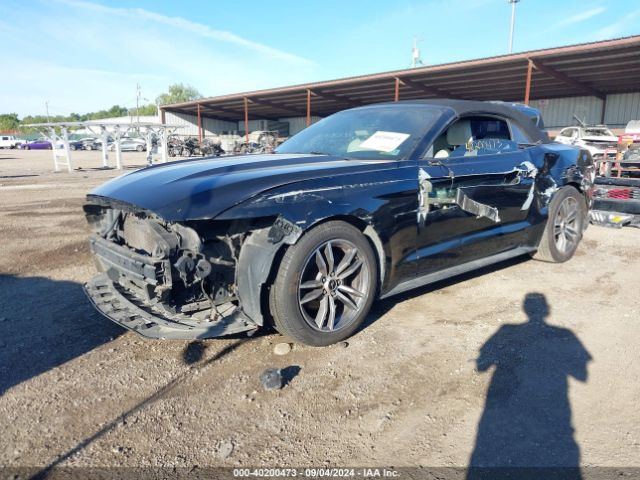 Photo 1 VIN: 1FATP8UH4F5390027 - FORD MUSTANG 