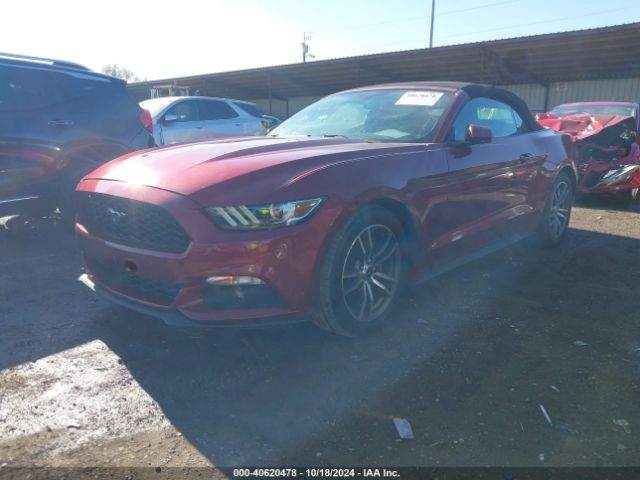 Photo 1 VIN: 1FATP8UH4H5205736 - FORD MUSTANG 