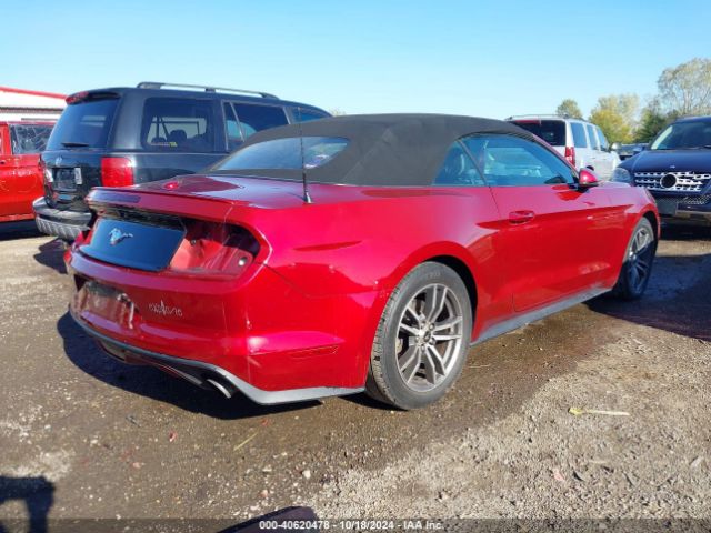 Photo 3 VIN: 1FATP8UH4H5205736 - FORD MUSTANG 