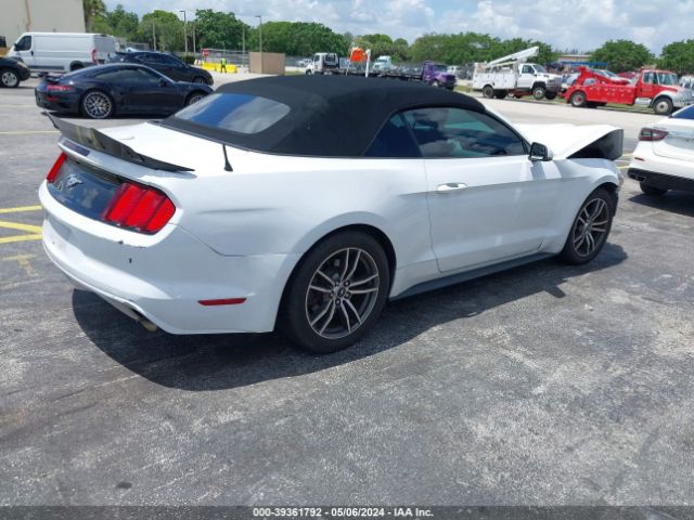 Photo 3 VIN: 1FATP8UH4H5254483 - FORD MUSTANG 