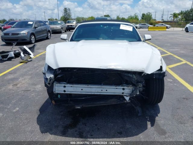 Photo 5 VIN: 1FATP8UH4H5254483 - FORD MUSTANG 