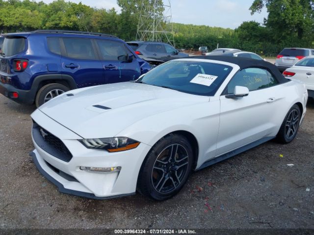 Photo 1 VIN: 1FATP8UH4K5104168 - FORD MUSTANG 