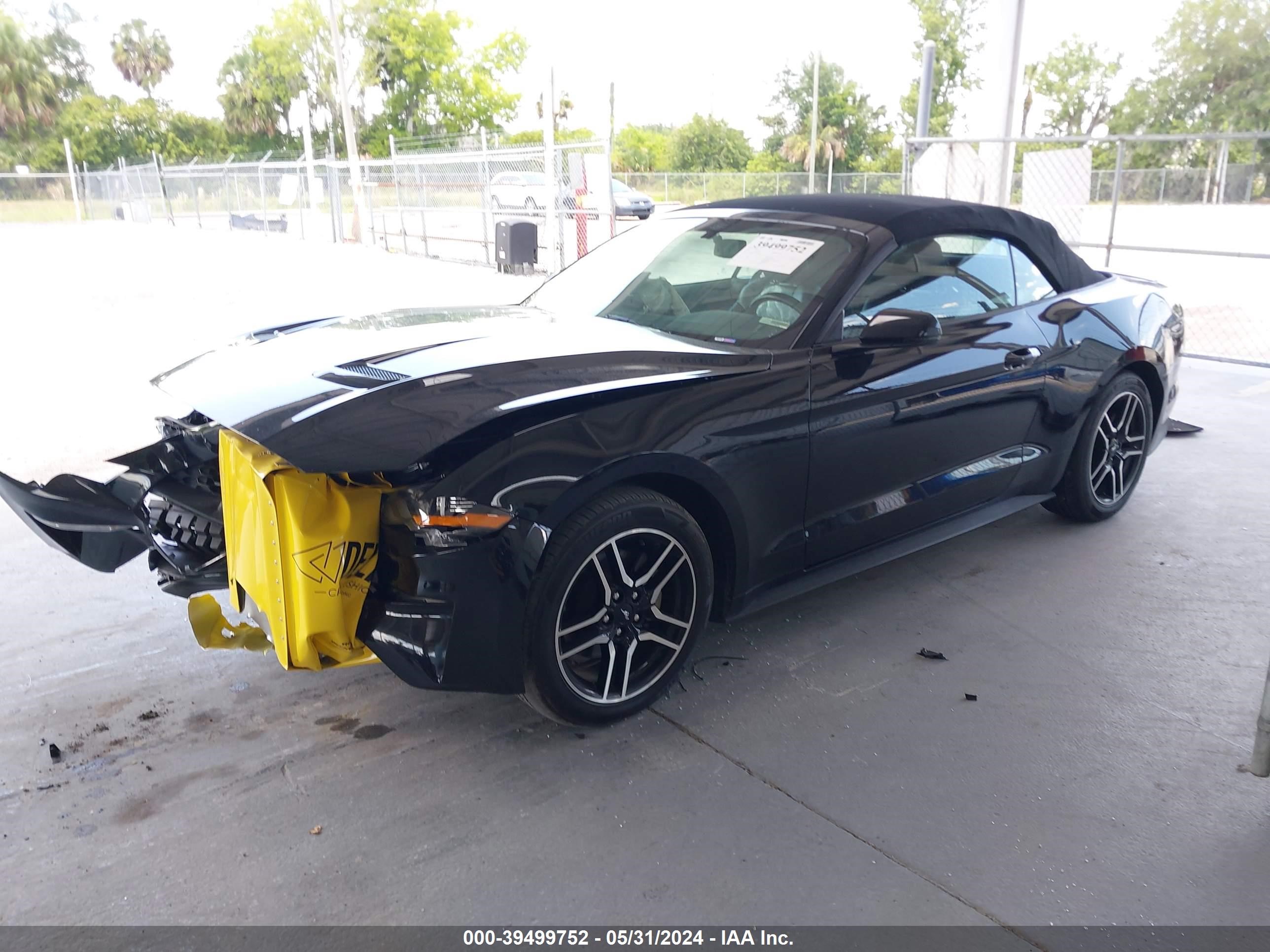 Photo 1 VIN: 1FATP8UH4K5162247 - FORD MUSTANG 