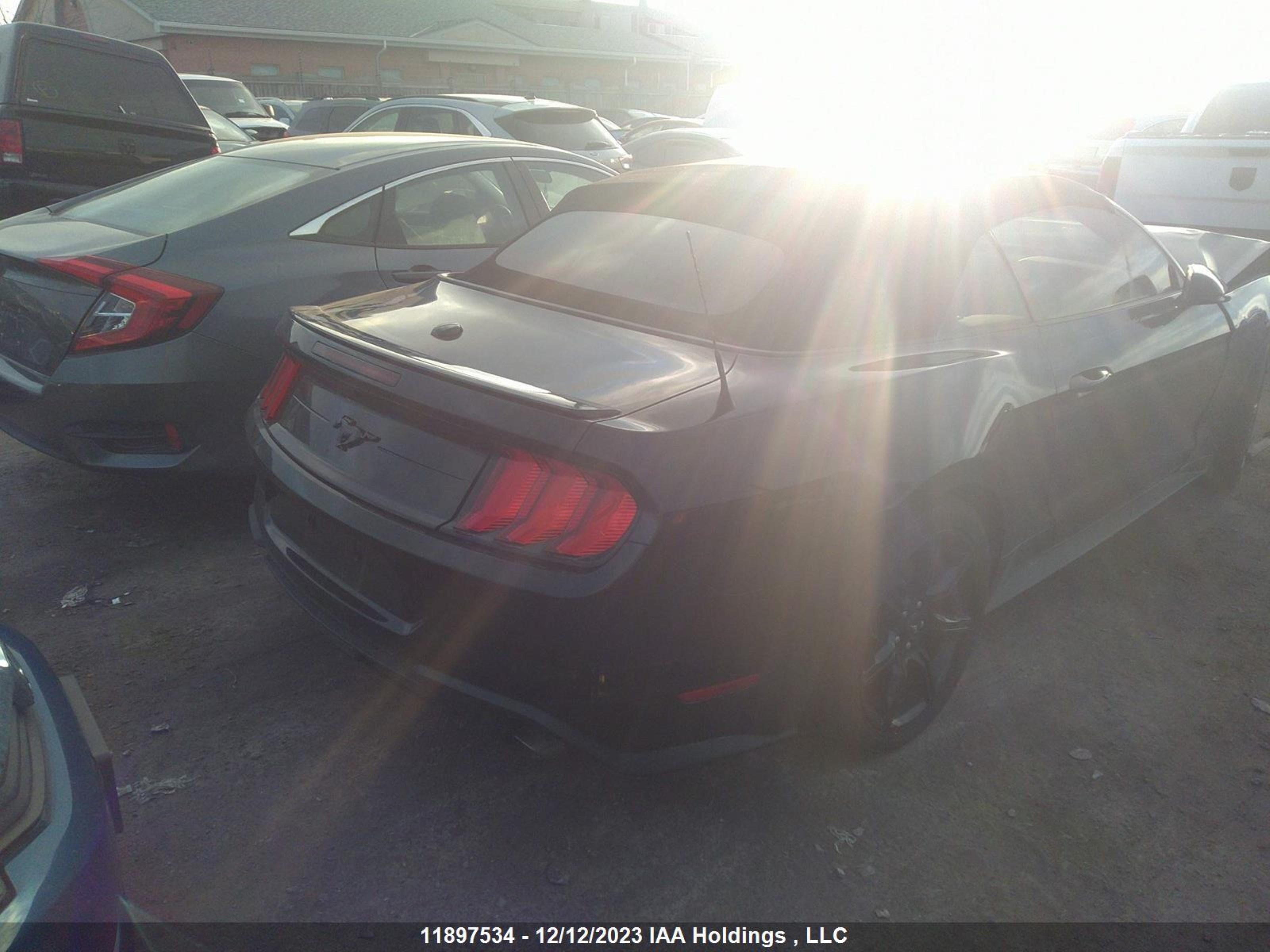 Photo 3 VIN: 1FATP8UH4K5183762 - FORD MUSTANG 