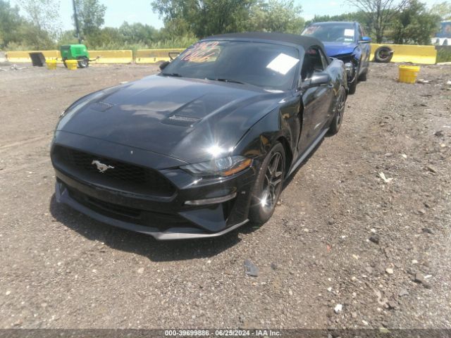 Photo 1 VIN: 1FATP8UH4L5131453 - FORD MUSTANG 