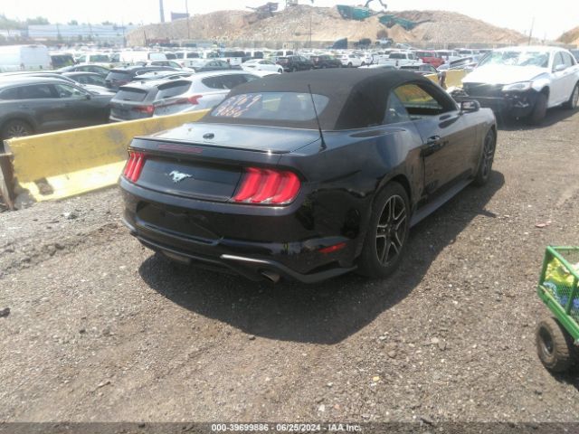 Photo 3 VIN: 1FATP8UH4L5131453 - FORD MUSTANG 