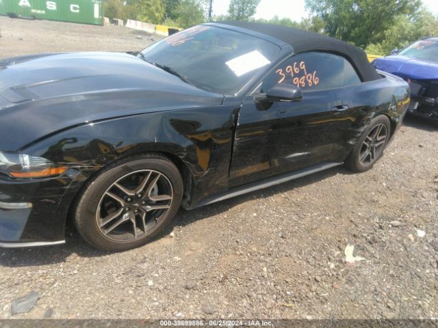 Photo 5 VIN: 1FATP8UH4L5131453 - FORD MUSTANG 