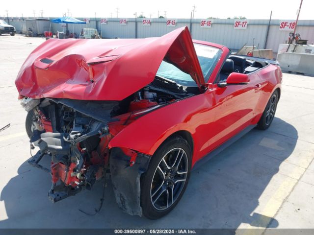 Photo 1 VIN: 1FATP8UH4L5179874 - FORD MUSTANG 