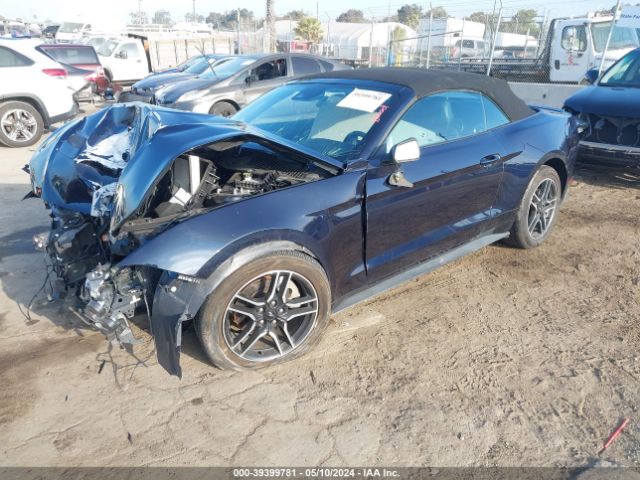 Photo 1 VIN: 1FATP8UH4M5116243 - FORD MUSTANG 