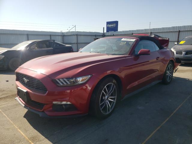 Photo 1 VIN: 1FATP8UH5G5318691 - FORD MUSTANG 