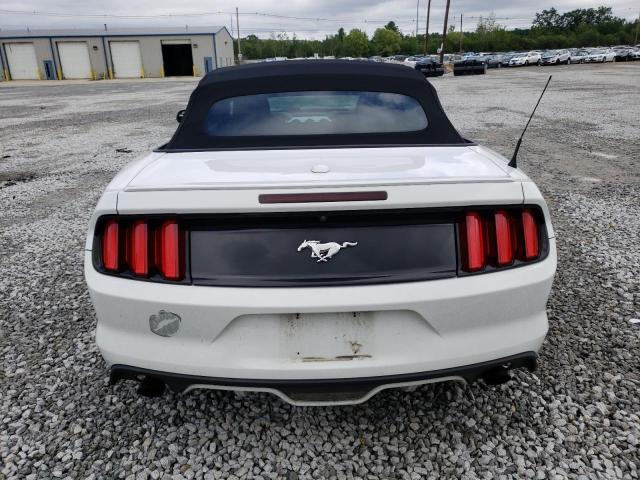 Photo 5 VIN: 1FATP8UH5H5205941 - FORD MUSTANG 