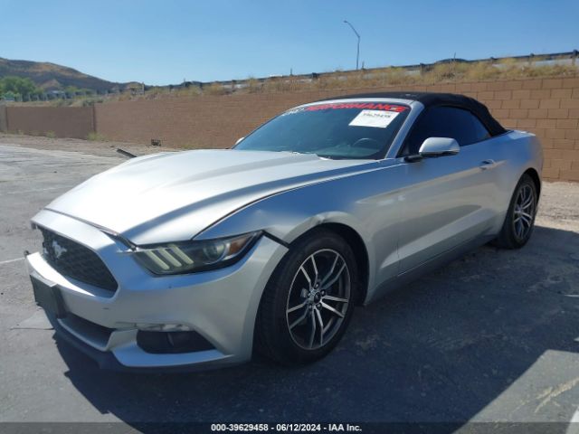 Photo 1 VIN: 1FATP8UH5H5218379 - FORD MUSTANG 