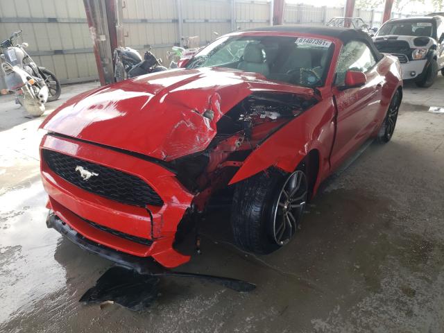 Photo 1 VIN: 1FATP8UH5H5245050 - FORD MUSTANG 