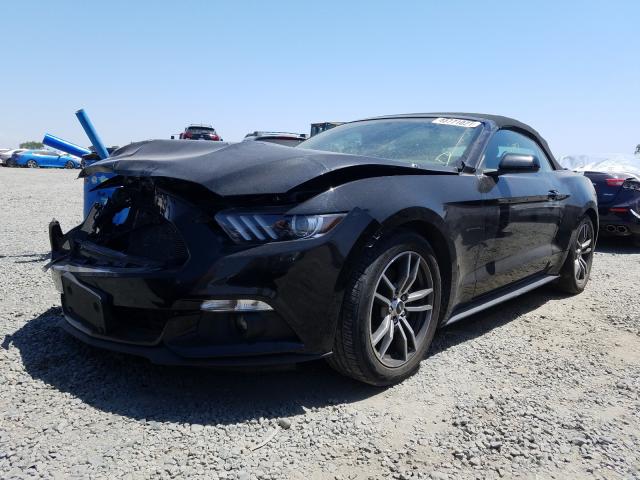 Photo 1 VIN: 1FATP8UH5H5295379 - FORD MUSTANG 